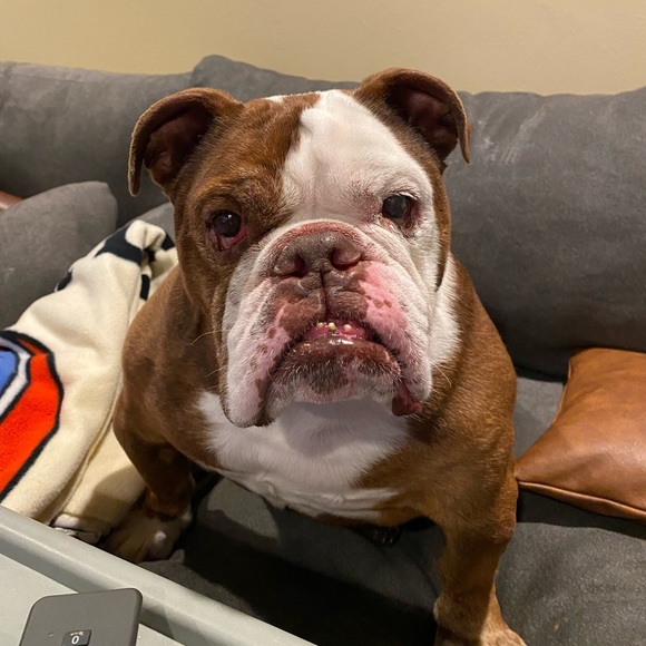 Meet your Posher, Michael - Picture 2 of 2